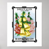 Digitalis Seed Packet Label Poster (Vorne)