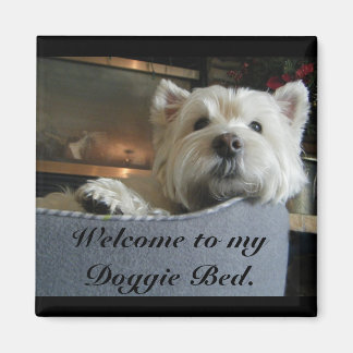Dignified Westie Foto Magnet