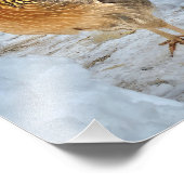 Dignithähnchen Fotodruck (Ecke)