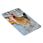 Dignithähnchen Magnet (Rechte Seite)