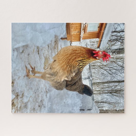 Dignithähnchen Puzzle (Horizontal)