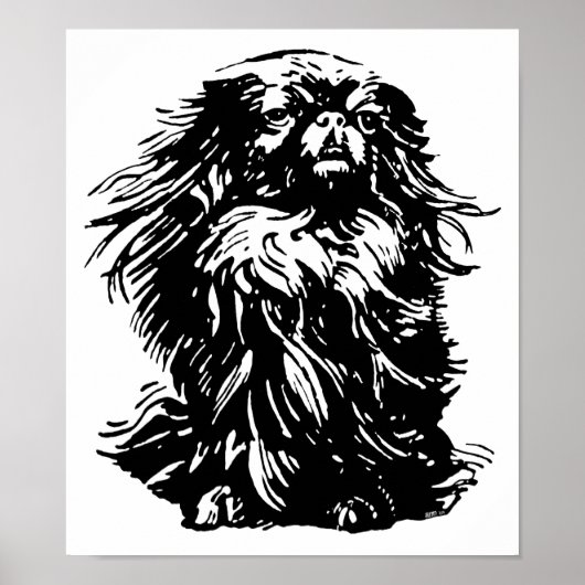 Dignity Pekingese Poster (Vorne)