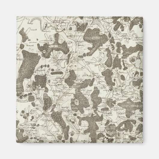 Dijon Magnet (Vorne)