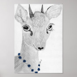 Dik- Dik Poster