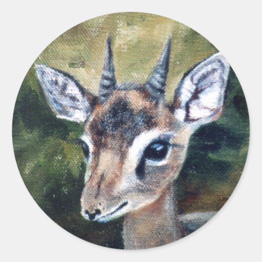 Dikdik zwergartiger Antilopen-Aufkleber Runder Aufkleber (Vorderseite)