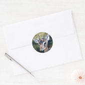 Dikdik zwergartiger Antilopen-Aufkleber Runder Aufkleber (Umschlag)