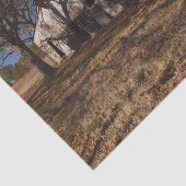 Dilapidierter, hellbrauner Stall inmitten brauner Seidenpapier (Ausschnitt)