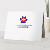 Dilemma der Prinzessin Tatus Cat Karte (Rückseite)