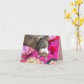 Dilemma der Prinzessin Tatus Cat Karte (Gelbe Blume)