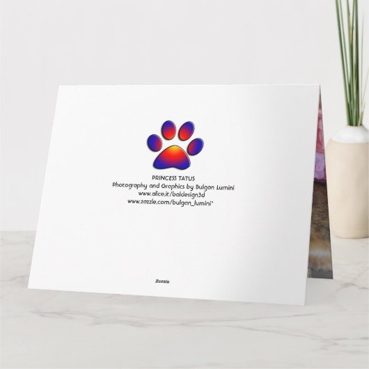 Dilemma der Prinzessin Tatus Cat Karte (Rückseite)