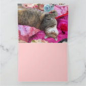 Dilemma der Prinzessin Tatus Cat Karte (Innenseite)