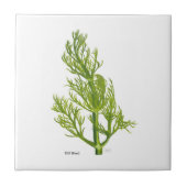 Dill Art Keramik Tile Fliese (Vorderseite)