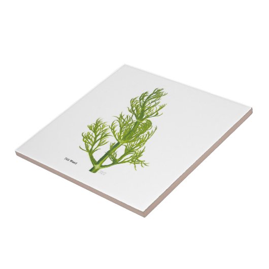 Dill Art Keramik Tile Fliese (Seite)