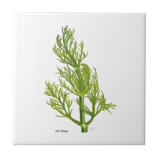 Dill Art Keramikfliese (Vorderseite)