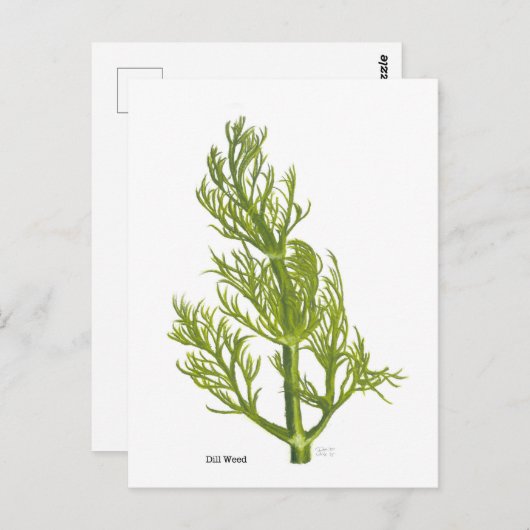 Dill Art Postkarte (Vorne/Hinten)