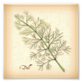 Dill Herb Foto Print (Vorne)