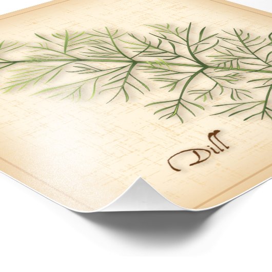 Dill Herb Foto Print (Ecke)