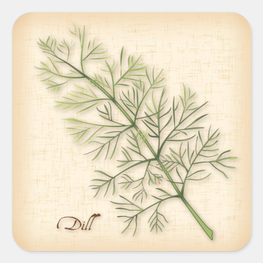 Dill Herb Quadratischer Aufkleber (Vorderseite)