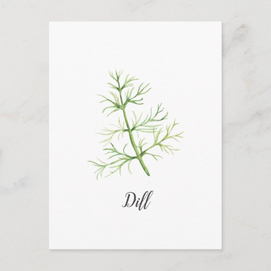 Dill Herb Watercolor Illustration Postkarte (Vorderseite)