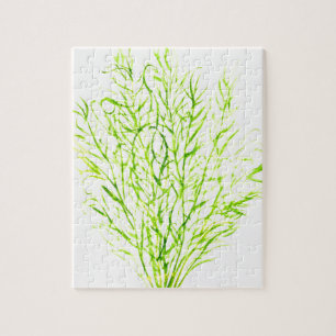 Dill herbs Dill Wasserfarbe Puzzle