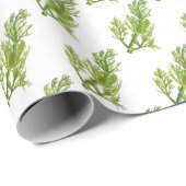 Dill Kunst Geschenkpapier (Rolleneckpunkt)