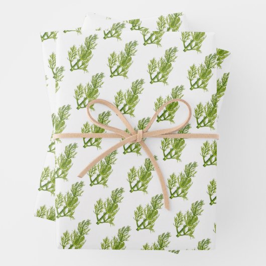 Dill Kunst Geschenkpapier Set (Beispiel)