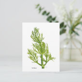 Dill Kunst Postkarte (Stehend Vorderseite)
