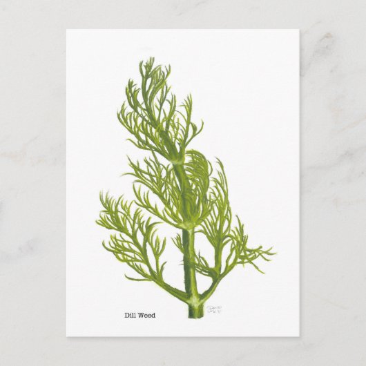 Dill Kunst Postkarte (Vorderseite)
