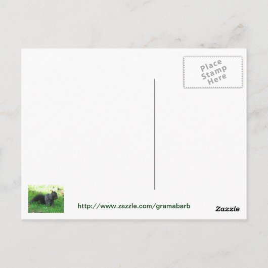 Dill Pickle Rezept Postkarte (Rückseite)