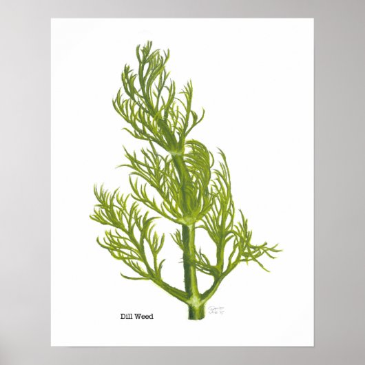 Dill Poster (Vorne)