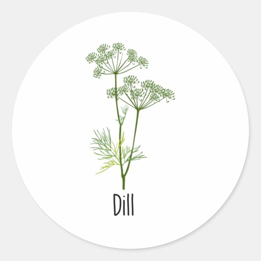 Dill Spices Herb Runder Aufkleber (Vorderseite)