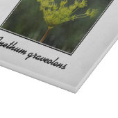 Dill weed delight schneidebrett (Ecke)