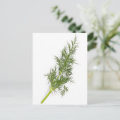 Dill Weed Postkarte (Stehend Vorderseite)