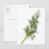 Dill Weed Postkarte (Vorne/Hinten)