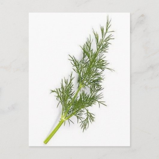 Dill Weed Postkarte (Vorderseite)