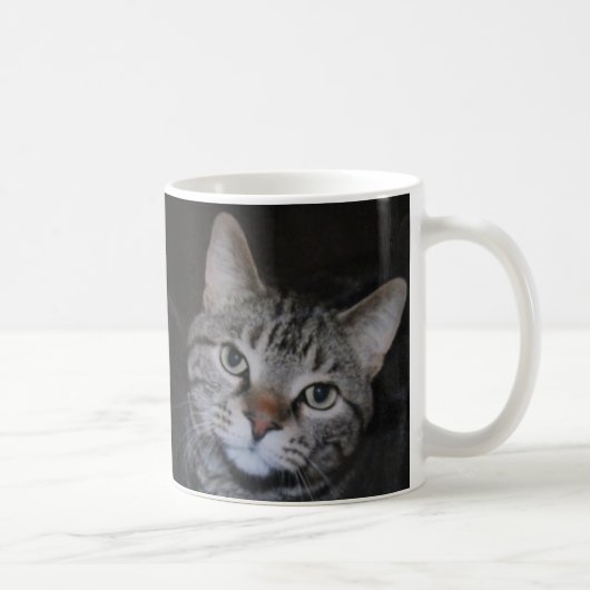 Dillan Die Cat-Tasse Kaffeetasse (Rechts)