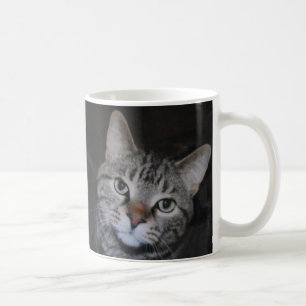 Dillan die Katzen-Tasse Kaffeetasse