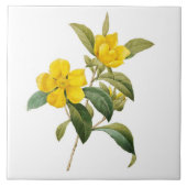 Dillenia Fliese (Vorderseite)