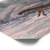 Dilophosaurus Print Poster (Ecke)