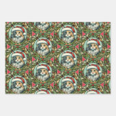 Dilute Calico Maine Coon Cat Weihnachten Geschenkpapier Set (Vorderseite)