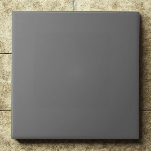 Dim Gray Chic Modernes Interieur Akzent Fliese