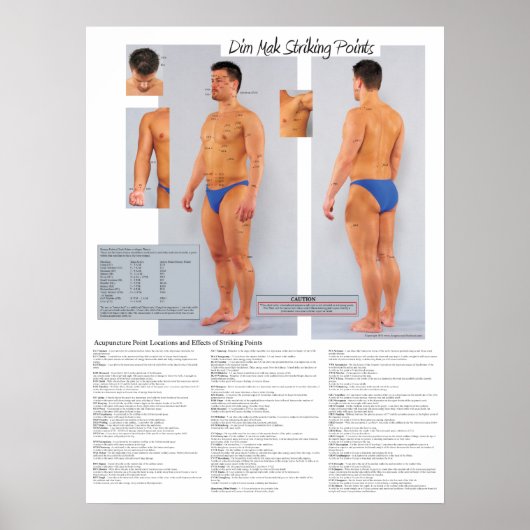 Dim Mak Death Striking Points Poster 18 X 24 (Vorne)