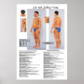 Dim Mak Death Striking Points Poster 24 X 36 (Vorne)