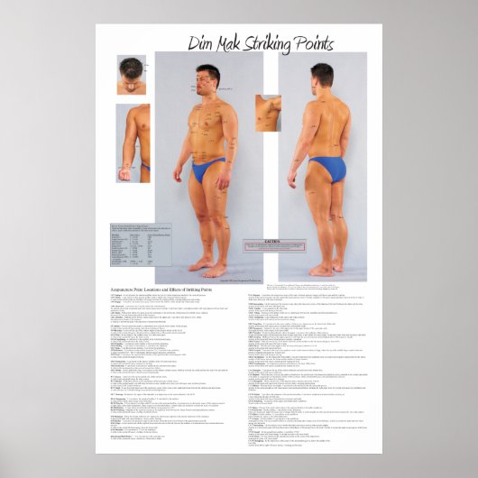 Dim Mak Death Striking Points Poster 24 X 36 (Vorne)