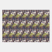 Dimensionen der Neugier Geschenkpapier Set (Vorderseite 2)