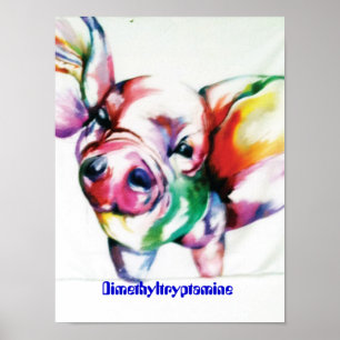 Dimethyltryptamin Poster