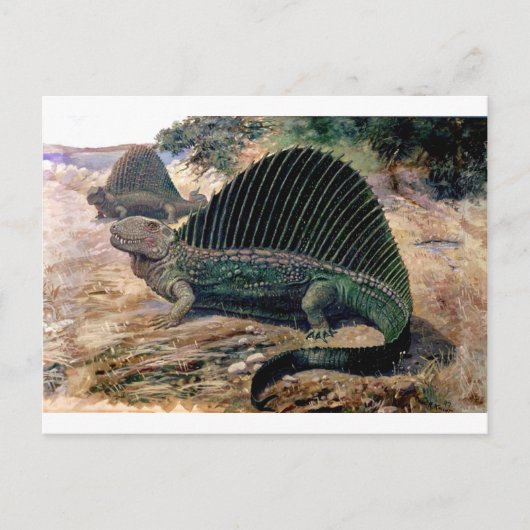 Dimetrodon-1 Postkarte (Vorderseite)