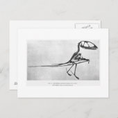 Dimorphodon macronyx art postcard postkarte (Vorne/Hinten)