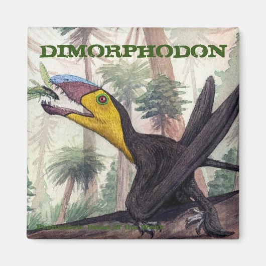 Dimorphodon Magnet (Vorne)