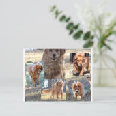 Dinah Postkarte (Stehend Vorderseite)